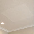 Interior ceiling patch replacement
