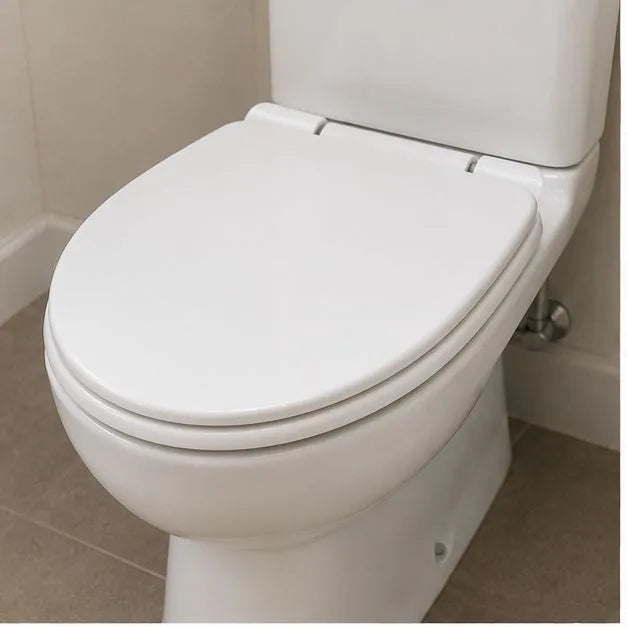 Toilet seat repair or replacement
