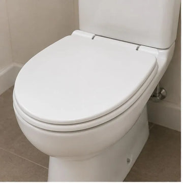Toilet seat repair or replacement